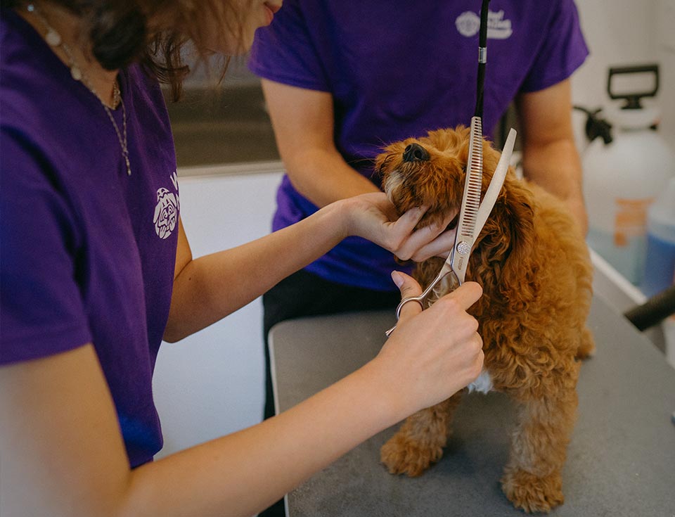 WMD_Site_Home_Carousel3